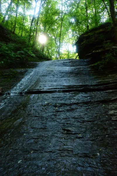 DSC_2771 (Large).JPG